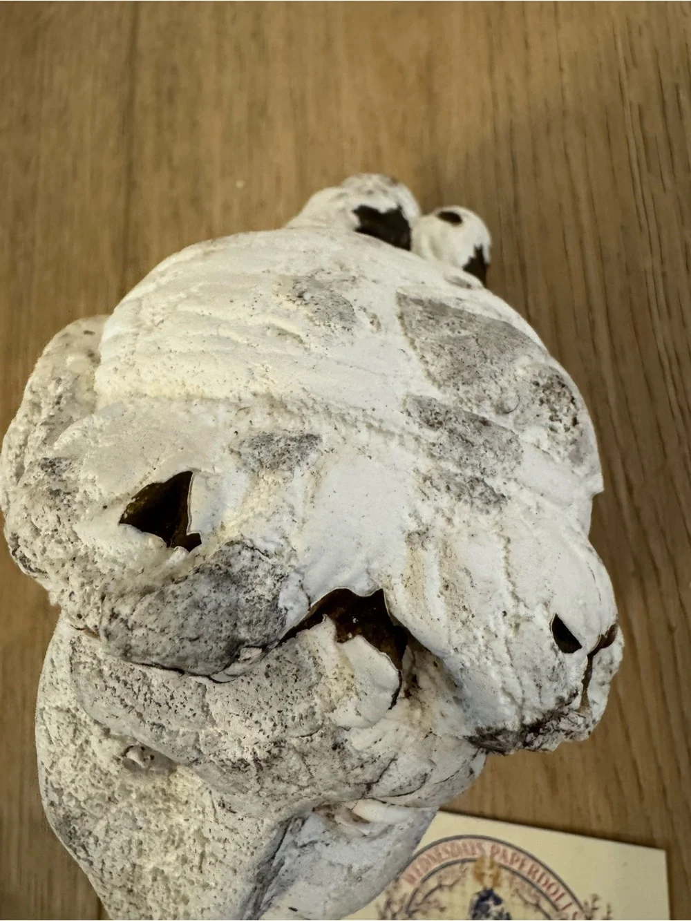 Vintage Plaster Cement Lady Bust Female Head Fragment - Picture 6 of 10
